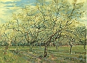 VAN GOGH VINCENT (1853-1890) - orchard-plum-trees